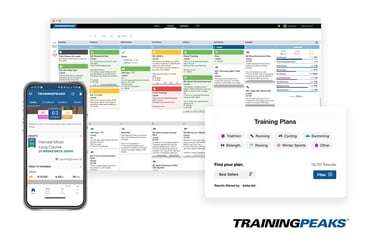 overview of structured training programme using data and metrics