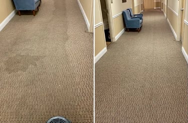 Best Office Carpet Cleaning Service Delhi NCR