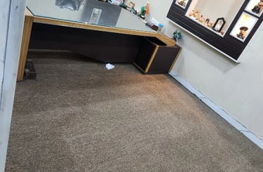 Expert Carpet Cleaning Solution NCR