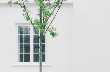 a tree in front of a white building