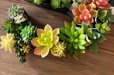 Succulent letter