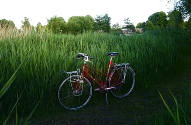 Rode fiets voor bamboe klaar voor reparatie in Amsterdam