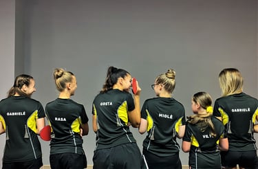 Stalo tenisas Kaunas PING PONG SPOT