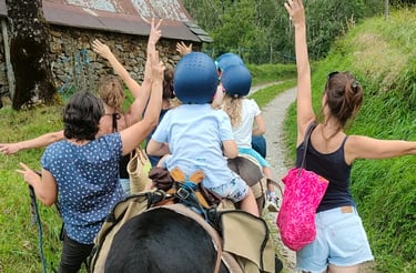 balade accompagnée âne
