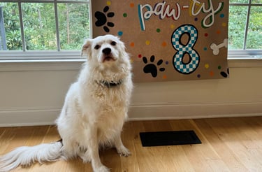 dog birthday party, hand-painted banner for dog, dog themed banner