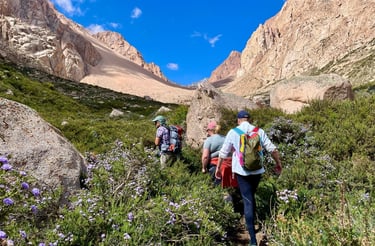 breathwork and hike in the andes near Mendoza