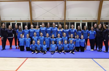 Artistica Jesolo Squadra