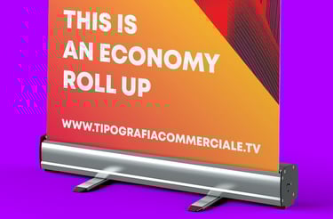 Roll up in vendita a treviso