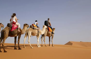 Affordable self drive Dubai desert safari including camel ride in the desert