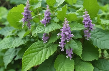 A friendly customer service representative answering calls in an office.