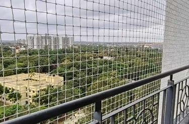 Close-up of sturdy anti-pigeon netting installed over a window in Kodambakkam
