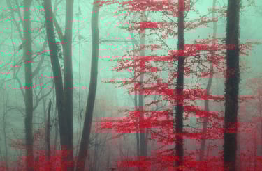 Paysage infrarouge artistique par David Keochkerian