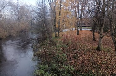 Nevėžis Tautkūnuose rudenį