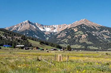 A welcoming desk with a phone, notebook, and a small plant, inviting contact.