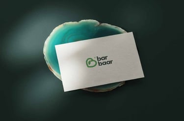 Barbaar Youth wellness, a Somali mental health supports