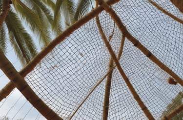 A friendly customer service representative ready to assist in bangalore