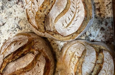 Fresh Artisan sour dough bread