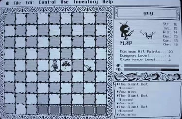 The Dungeon of Doom was inspired by Rogue, a game often seen as the dungeon crawler's template.