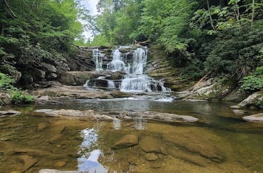 Tellico Plains Tn - To see the full roaring gorgeous Conasauga Falls go in spring or early summer