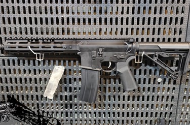EAG NCS10B