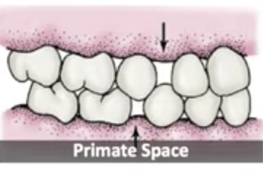 a image showing primate space