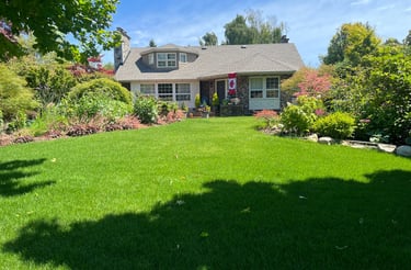 front lawn
