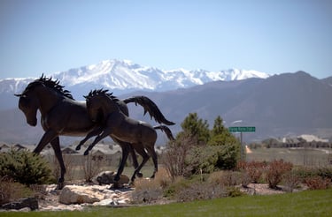 FLYING HORSE NEIGHBOOR MOBILE DETAILING 