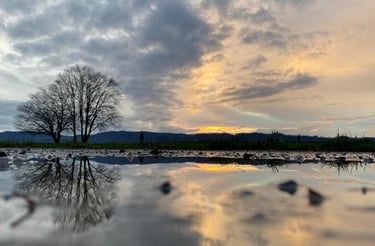 Winterliche See-Landschaft im Abendlicht