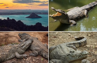 Nord de Madagascar