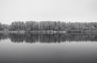 Landscape photography, snowy trees reflection in water. Birštonas, Lithuania.