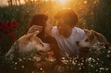 famiglia-con-due-cani-al-tramonto