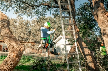 a man is climbing up a ladder to reach a ladder