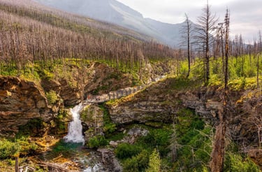 Blakiston Falls cascading through a rocky canyon in Waterton Lakes National Park, Alberta.