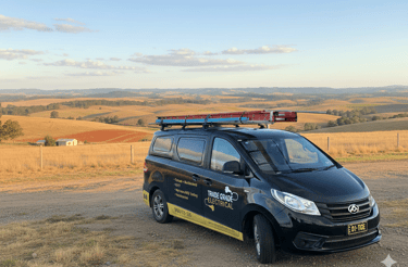 Bathurst Electrician Van