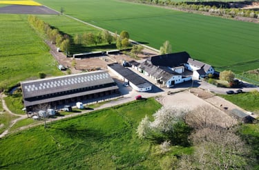 Aerial view of a rural horse farm with stables, riding arenas, and green pastures.