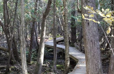 Hiking/biking path adjacent to property