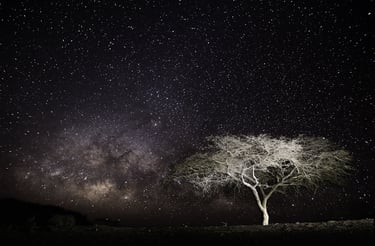 Nightscape, Voie Lactée, Milky Way, Via Lattea, Paysage Etoilé, Starry Landscape, Paesaggio stellato