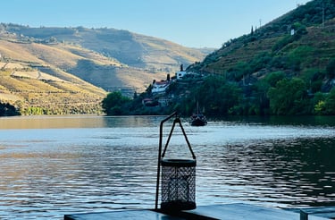 a boat on the Douro river with mountains in the background in Pinhão village.