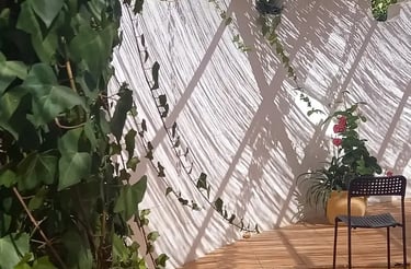 outdoor relaxing garden, representing online homeopathy consultation