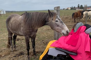 Cheval posant son nez sur une enfant polyhandicapée dans son fauteuil roulant