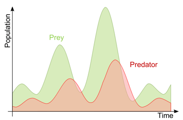 Theoretical dynamics of predators an their prey