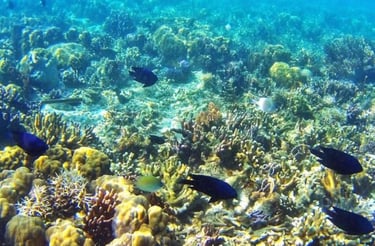 coron island palawan philippines