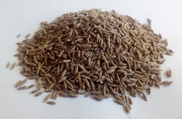 Benefits of Cumin | CritiqoNet