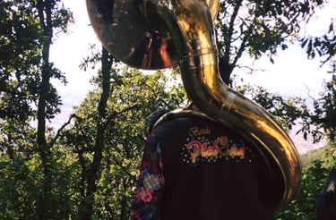 contacto banda la plebona