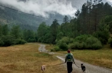Paseo en la naturaleza con mis perros