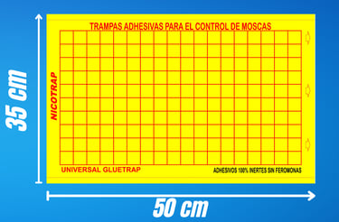 laminas adhesivas para captura de moscas de 50 x 35 cm