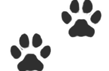 Icono de dos huellas de perro en color gris oscuro