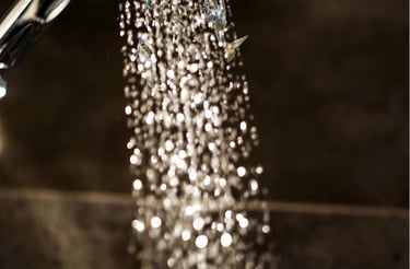 Water coming out of a showerhead.