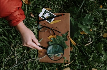 A person using a magnifying glass to further examine a leaf while outside