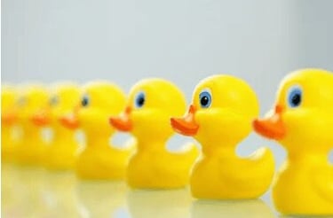 Yellow rubber ducks in orderly row representing workflow organisation